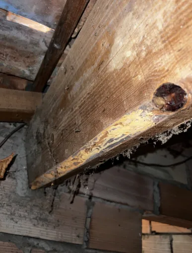 Traitement charpente termites, Apt, APT Ramonage